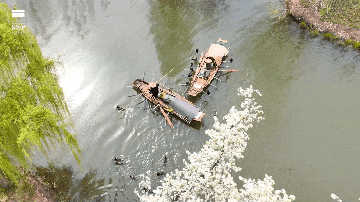 鸬鹚捕鱼.gif