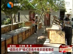 “庭院经济”模式助我市蜂农甜蜜增收