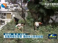实施网格化管理 确保创卫取得实效
