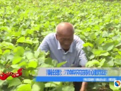 禹长宽：70年不忘初心跟党走
