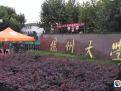 我们的乡村之恋（鲁曼）