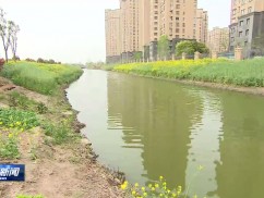 周斌督办省生态环境保护督察信访件反映问题整改工作