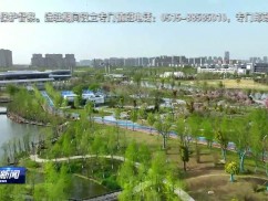 打造绿色盐都 秀美城乡景色