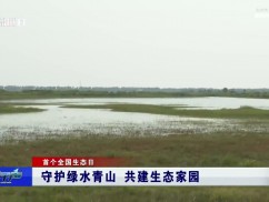 守护绿水青山 共建生态家园