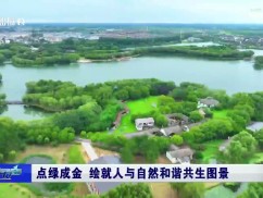 点绿成金  绘就人与自然和谐共生图景