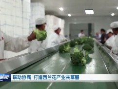 联动协商 打造西兰花产业共富圈