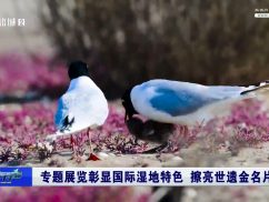 专题展览彰显国际湿地特色 擦亮世遗金名片