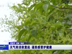 天气转凉秋意起 谨防感冒护健康
