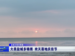 大美盐城多锦绣  欢天喜地庆佳节
