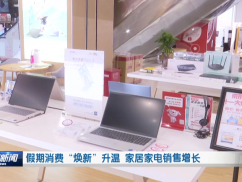 假期消费“焕新”升温 家居家电销售增长