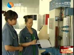 东台：贯彻市委全会精神 优化产业布局 做强镇域经济