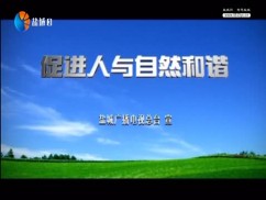 盐城风