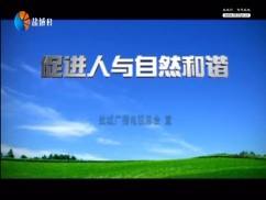 聚焦新盐城