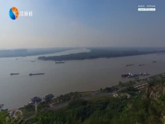 聚焦新盐城