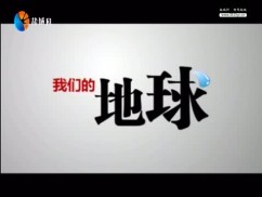 聚焦新盐城