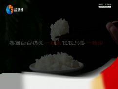 聚焦新盐城