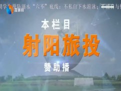 情感树