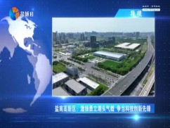聚焦新盐城