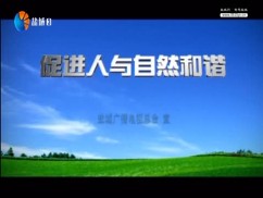 聚焦新盐城