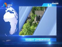 聚焦新盐城