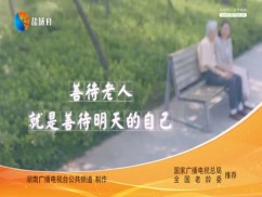 聚焦新盐城