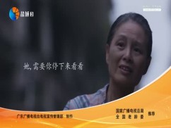 聚焦新盐城