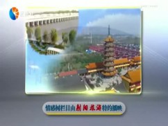 情感树