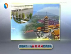 情感树