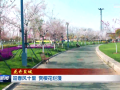 迎春风十里 赏樱花烂漫