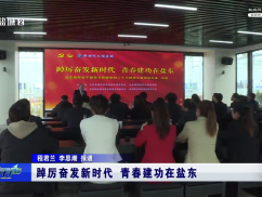 踔厉奋发新时代  青春建功在盐东