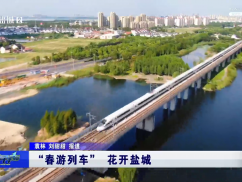 “春游列车” 花开盐城