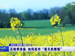 花粉季来临 如何应对“春天的烦恼”