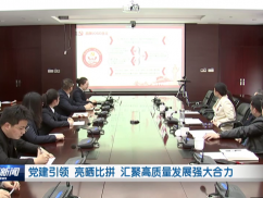 党建引领 亮晒比拼 汇聚高质量发展强大合力