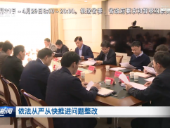 依法从严从快推进问题整改