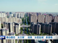 精心做好“水文章” 绘就“水韵盐城”新画卷