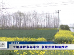 12345督办面对面：土地确权多年未定 多措并举加速推进