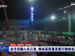 全方位融入长三角 推动高质量发展行稳致远