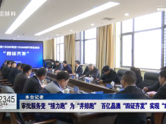 政务前沿：审批服务变“接力跑”为“并排跑” 百亿晶澳“四证齐发”实现“拿地即开工”