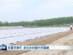 初夏农事忙 走出乡村振兴共富路
