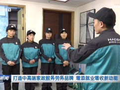 打造中高端家政服务劳务品牌 增添就业增收新动能