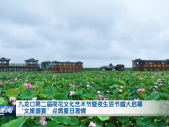九龙口第二届荷花文化艺术节暨夜生活节盛大启幕 “文旅盛宴”点燃夏日激情