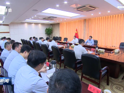 市政府党组召开会议