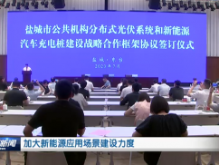 加大新能源应用场景建设力度