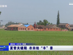 夏管关键期 农田绘“丰”景