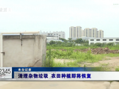 12345督办面对面：清理杂物垃圾 农田种植即将恢复