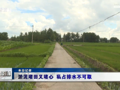 12345督办面对面：淤泥堵田又堵心 私占排水不可取