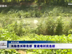12345督办面对面：消隐患拆除危桥 重建难村民急盼