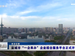 12345热线快讯：盐城市“一企来办”企业综合服务平台正式开通