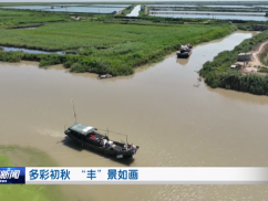 多彩初秋  “丰”景如画