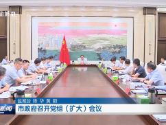 市政府召开党组（扩大）会议